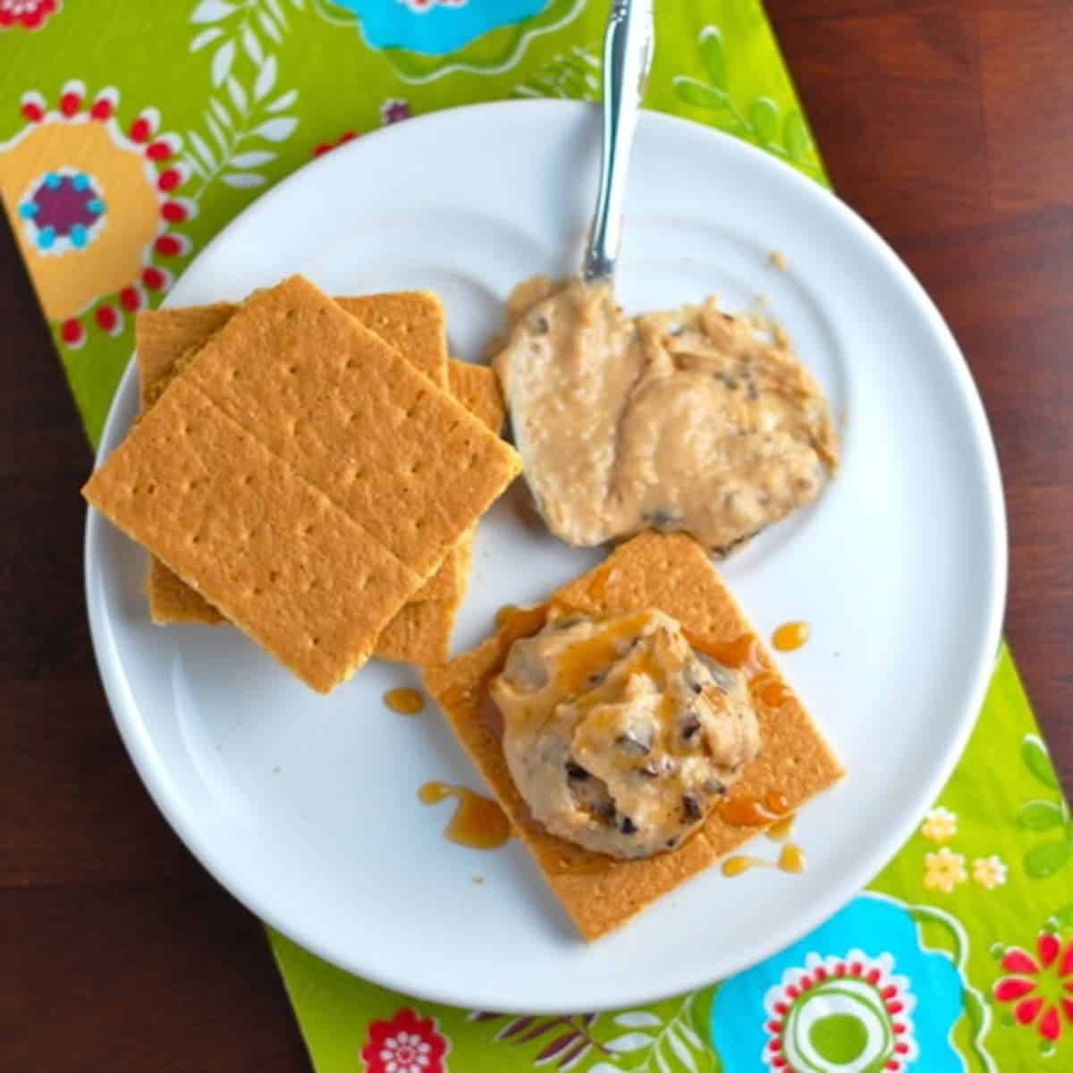 Peanut butter dark chocolate hummus on a plate with graham crackers.